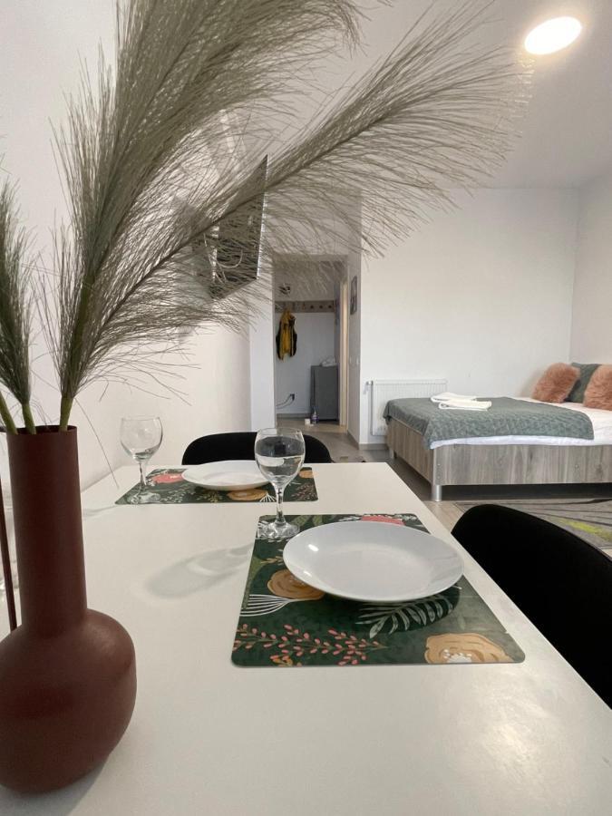 Studio Apartment Palas Mall Iasi Exteriör bild