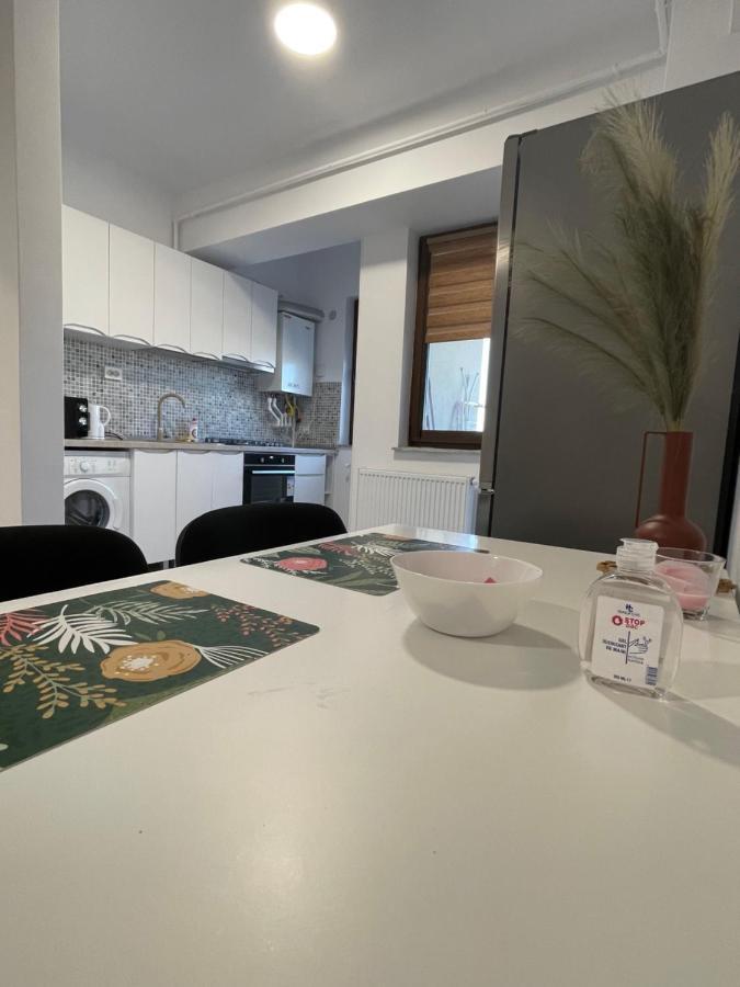 Studio Apartment Palas Mall Iasi Exteriör bild